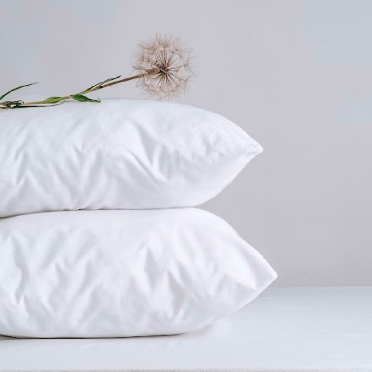 Sous taie d'oreiller - Molleton Coton Bio #Couleur_BLANC