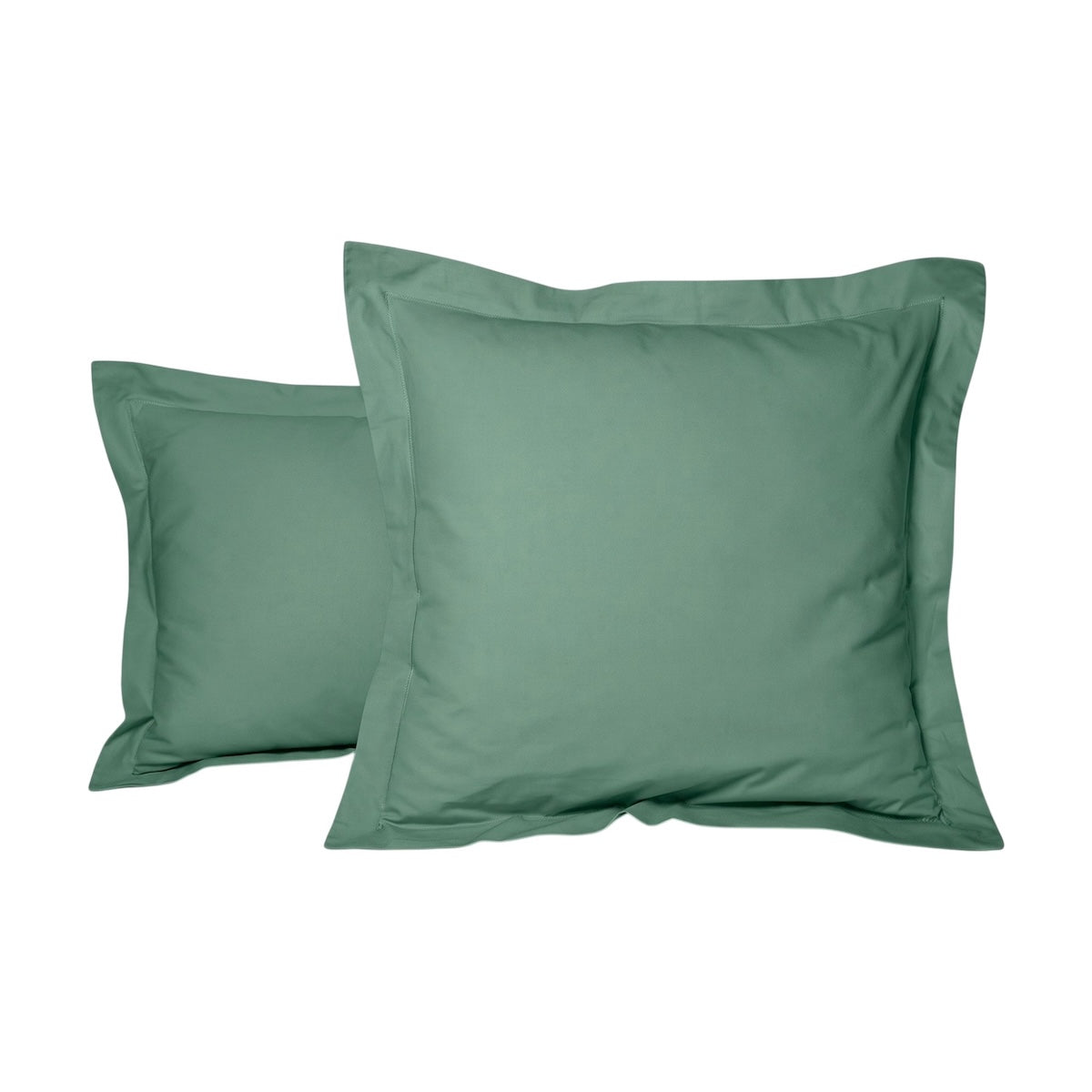#Couleur_VERT SAPIN
