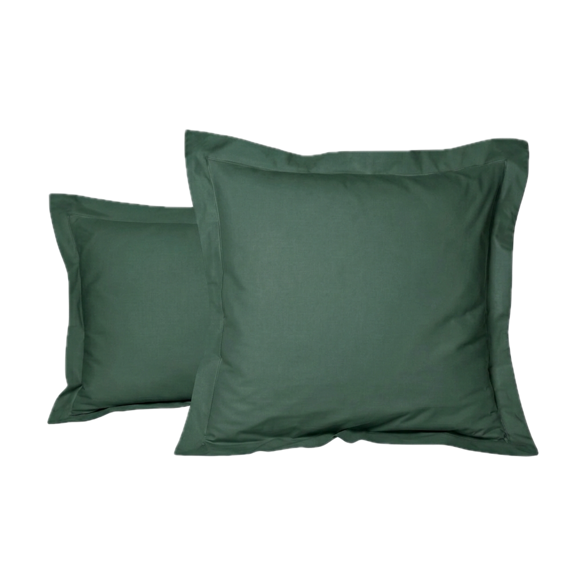 #Couleur_VERT SAPIN