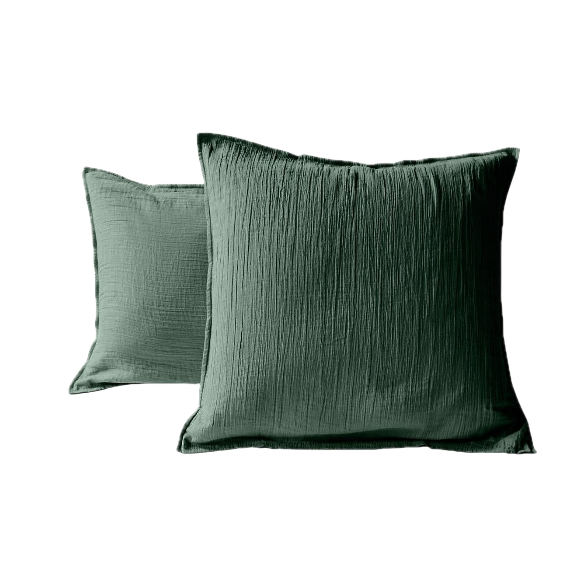 #Couleur_VERT SAPIN