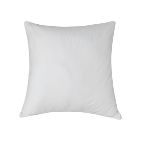 3 Chamber Natural Pillow