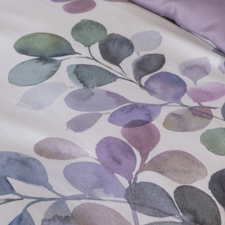 Drap Eclose