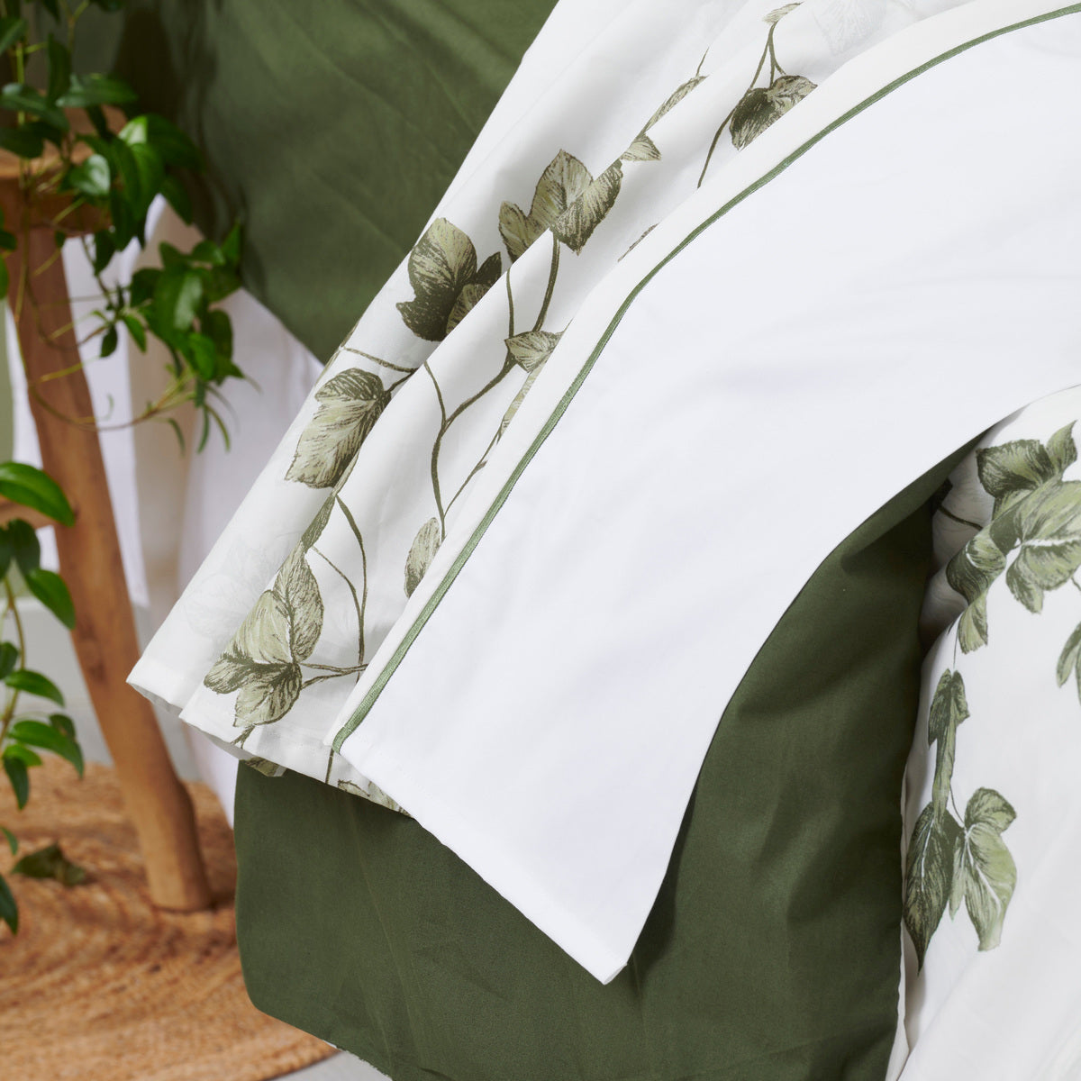 Drap Lierre