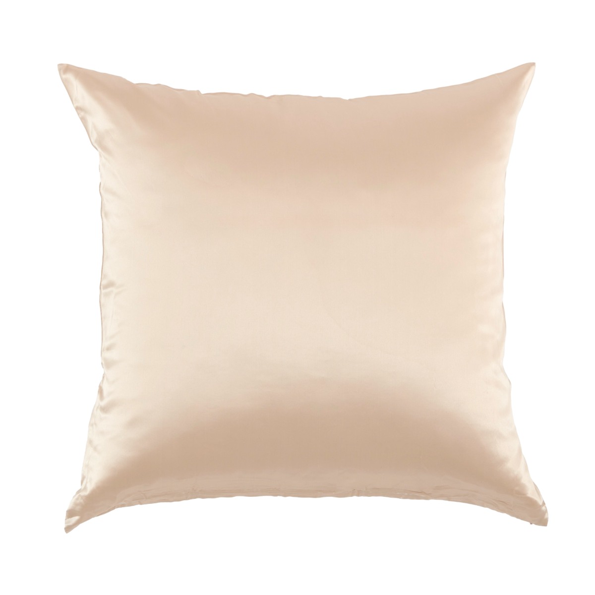 Taie d'oreiller - 100% soie de mûrier #Couleur_CHAMPAGNE
