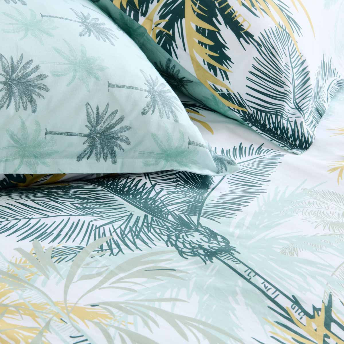 zoom sur les taies de palmeraie palmiers verts