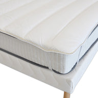 Surmatelas Greenfirst - Anti Punaises