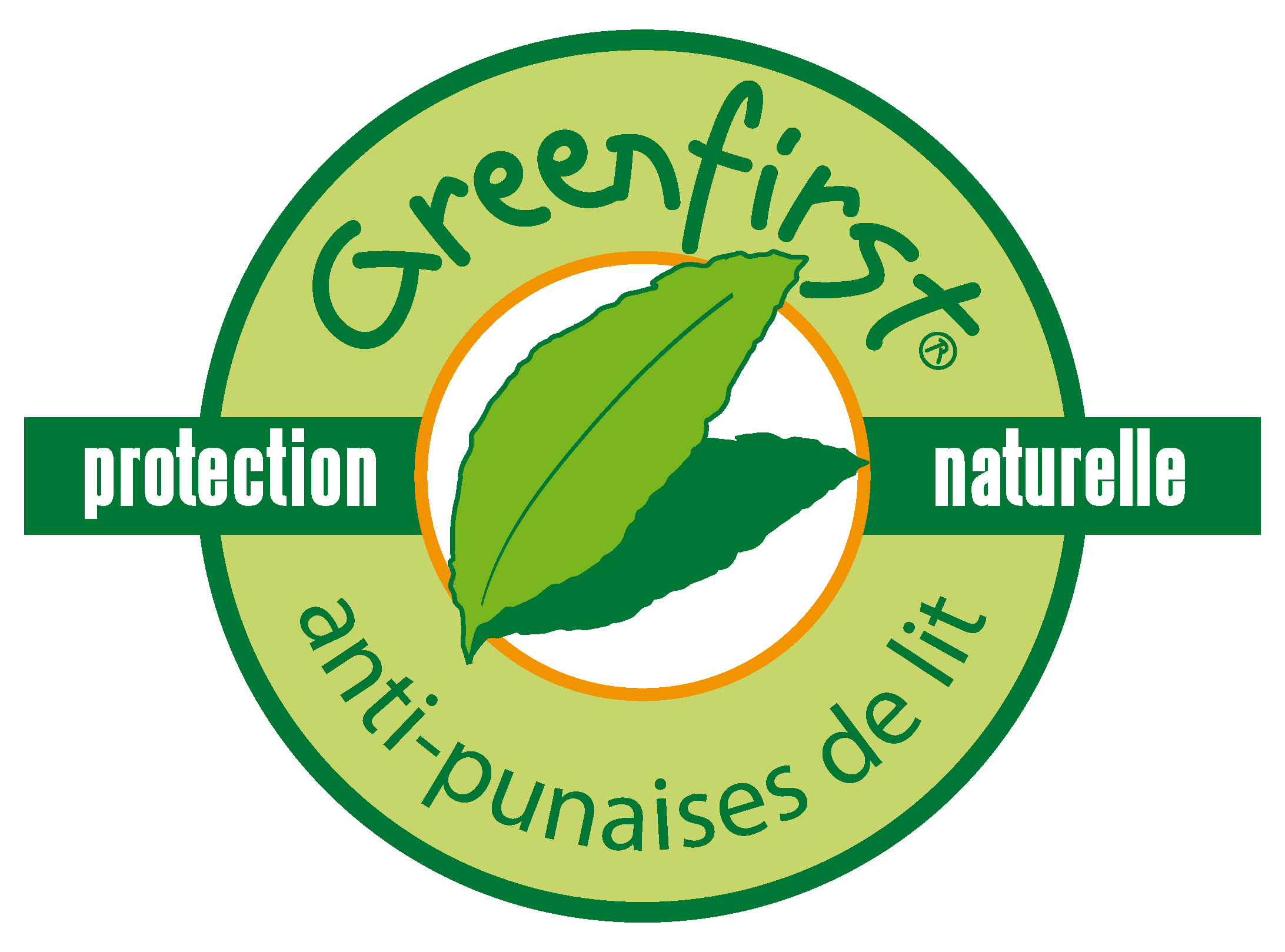 Molleton anti punaise de lit traitement greenfirst